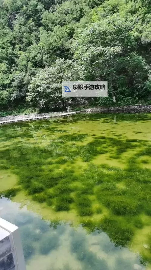 玉女阁第一精品导航：探索极致优质内容的最佳指南图1