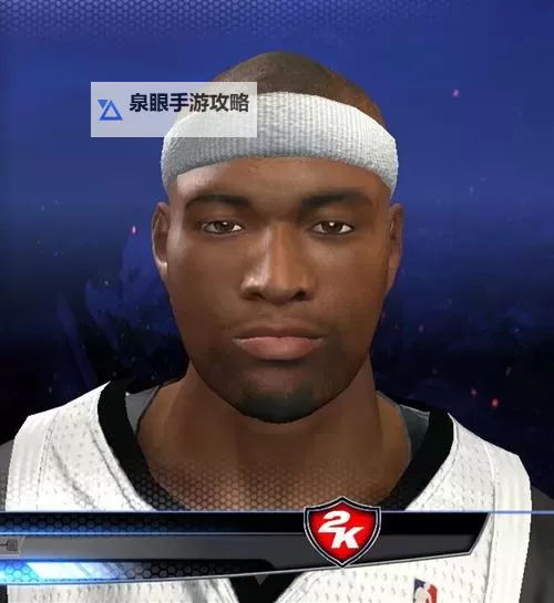 NBA2K14面补ID大全：完整收藏与使用指南图2