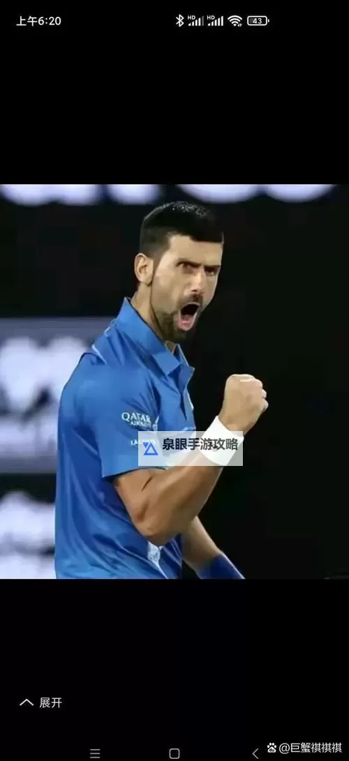 德约科维奇净资产揭秘：这位网球巨星的财富之路图1