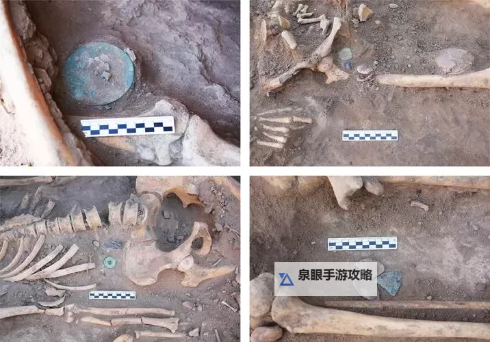 考古精良会重复出吗？专家解析其出土概率与保存现状图1