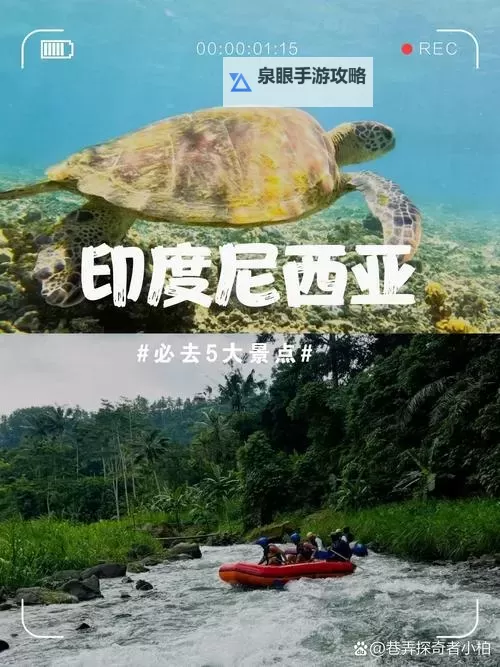 东京加勒比小说一本在线在线看尽享热带风情图1