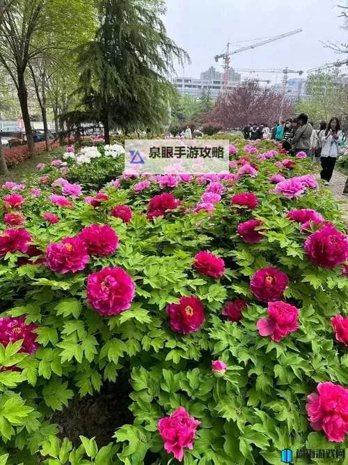 亭亭玉立国色天香四月天成人精品：春日里的绝美佳作图1