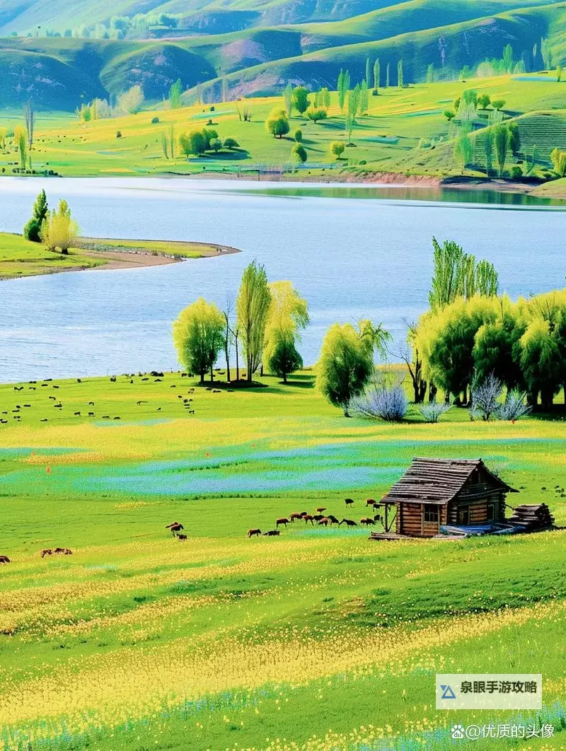 2008年“超碰摸2008”:网络动态与社会反思图1