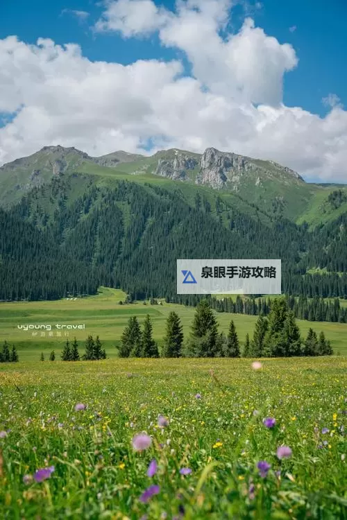 揭秘时空秘境第二章boss锁血的战术诀窍图1