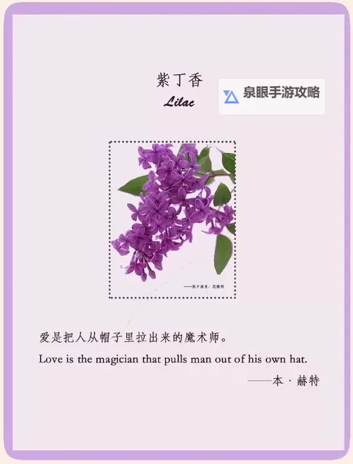 浅谈“五月丁香六月综合”在现代文学中的象征意义图1