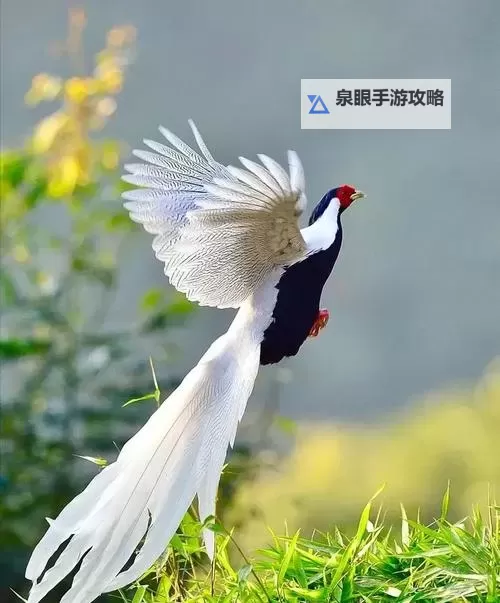 嘿咻漫画免费观看入口网站推荐——免费在线观看最新漫画的优选平台图1