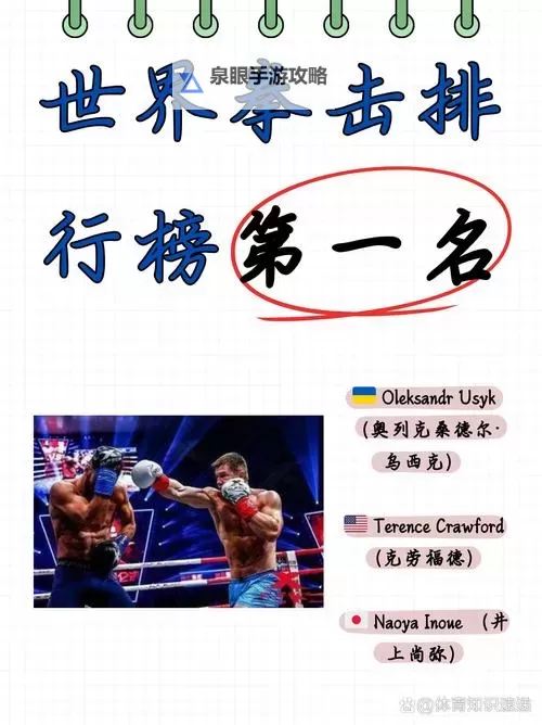 男格斗四个职业是什么：详解格斗世界的四大职业类别图1