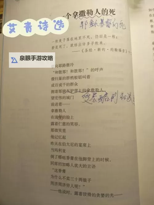 堇青石换强烈的气息找谁：探寻古老秘密的答案图1