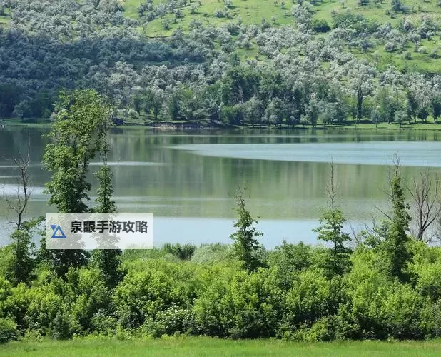 最新电影百度影音：在线观看最全电影资源的优选平台图1