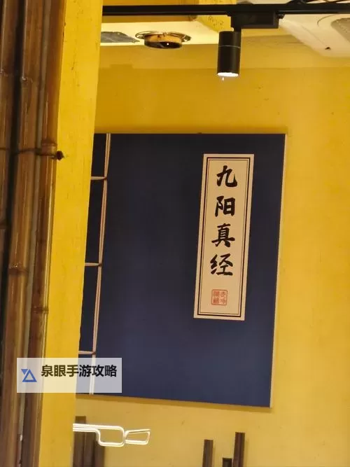 九阴真经唯我独尊：问鼎武林的终极秘笈图1