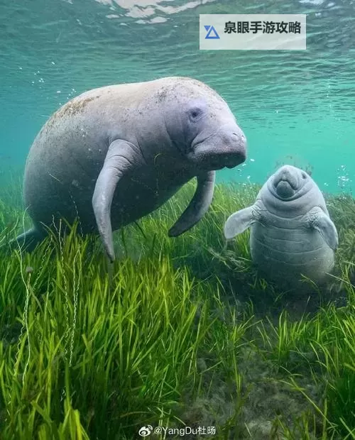 性欧美导航大全:全方位最新资源指南图1