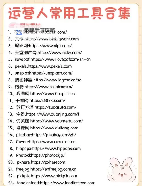 关于永久地址91C.XXX的详细介绍与使用指南图2