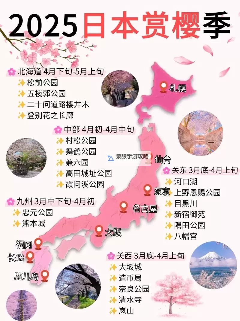 小黄花必看日本:踏上赏樱之旅的必备指南图1