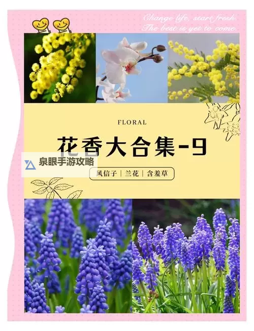 PSP最后的战士字体跳动：经典游戏字体的动态魅力图1