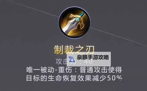 无尽黑暗之刃法师攻略：全面提升技能与战术指南图1