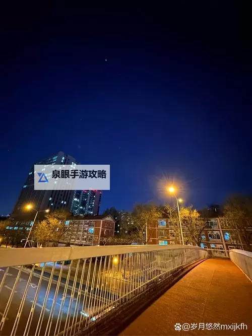 同城夜色中的静谧与繁华之梦图1