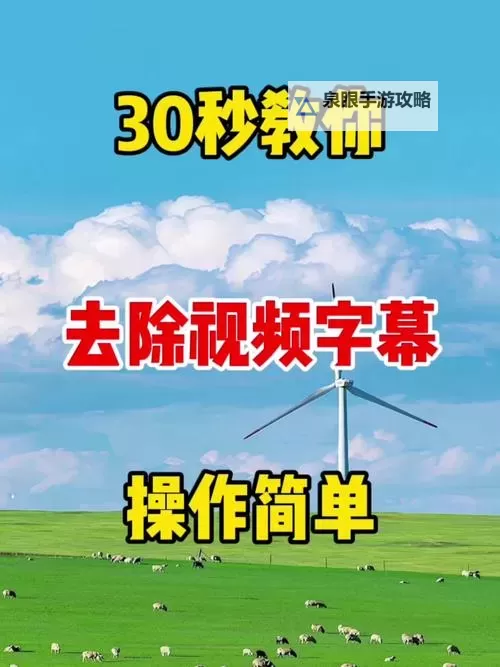 如何解决中文字字幕乱码问题:字幕乱码视频下MP4的详细教程图2