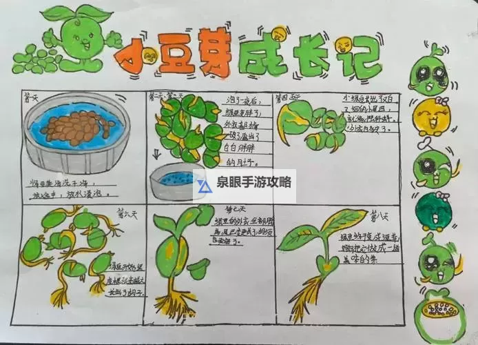 怎么玩自己的小豆子图片:趣味创作指南图1