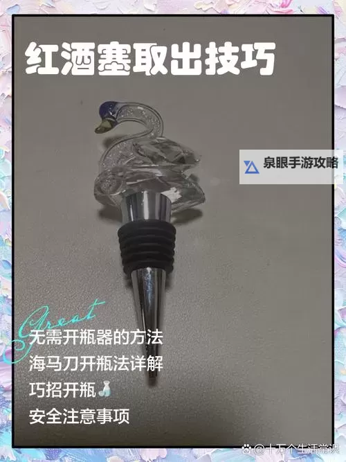 用红酒瓶塞堵住不能留下来的秘密技巧图1