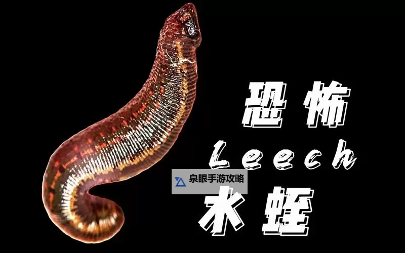 造梦西游2楚江王水蛭：揭密楚江王的水蛭怪物终极boss攻略图2