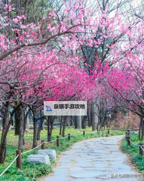 17c一起草视频24小时：全天候精彩瞬间全纪录图1