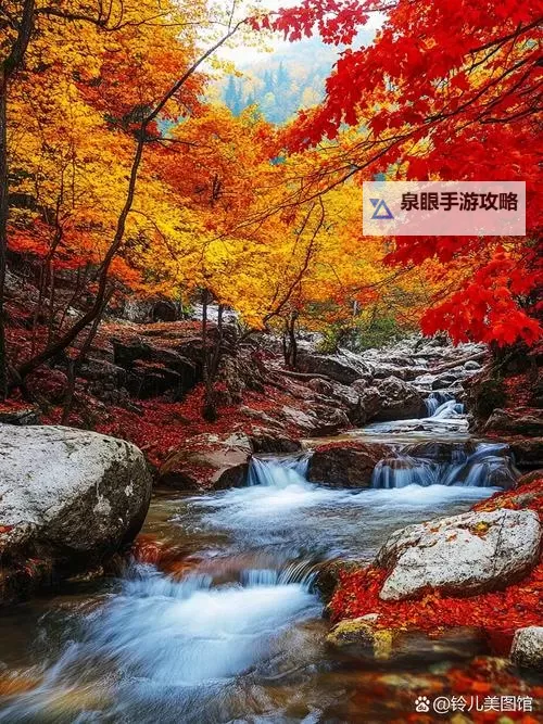 虐杀原形Win11闪退问题全解：详细解决方法分享图2