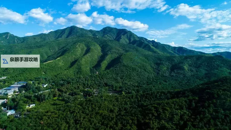 揭秘中国10大黑社会老大：幕后掌控者的权力与秘密图1