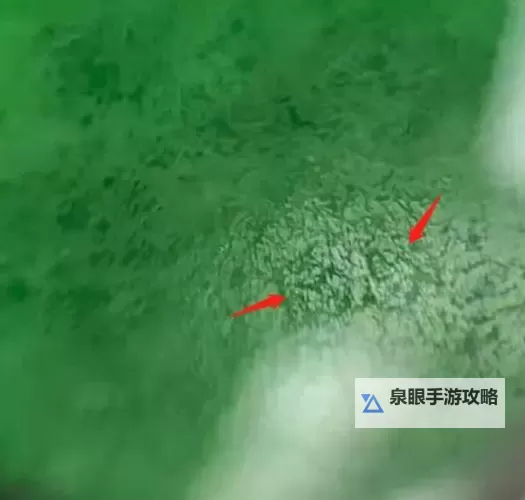 翡翠苍蝇翅特征图解:细节解析与鉴赏指南图1