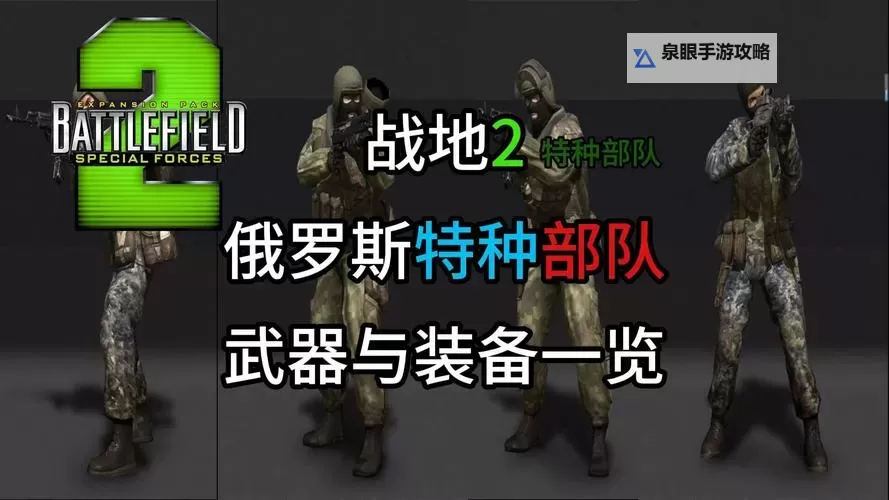 战地2欧武器代号全面揭秘：详尽解析与使用指南图2