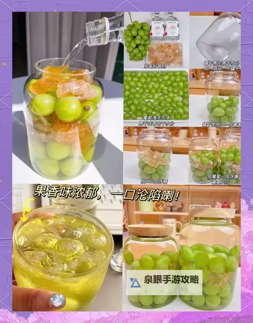 手把手教程：自制葡萄酒视频详解与制作秘诀图2