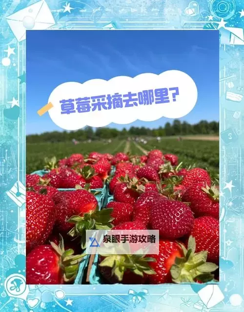 畅享美味幸福时光：草莓视频在线观体验指南图1