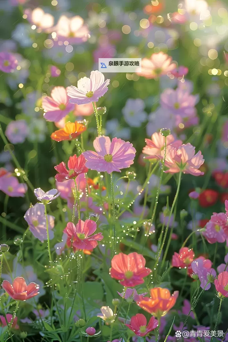 野花论坛高清欣赏:最新优质作品推荐图1