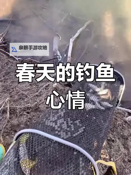 钓鱼的朱小月：水边的宁静与梦想图1