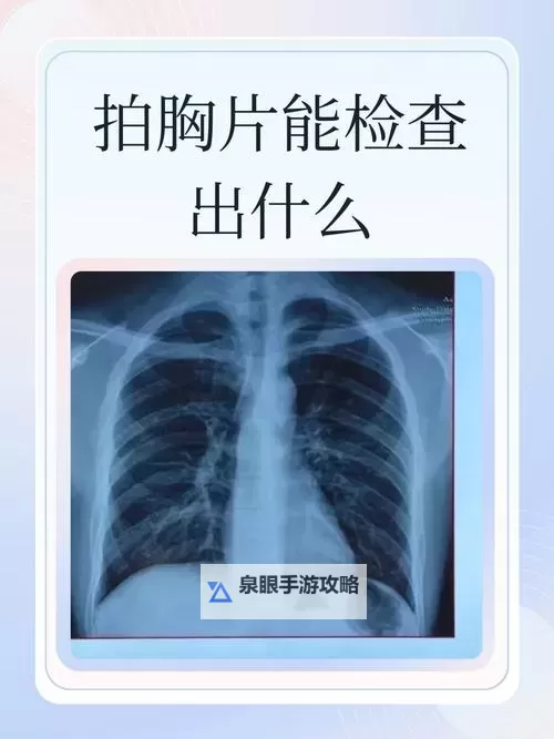 如何在线看胸片曝光视频？完整版免费看方法推荐图1