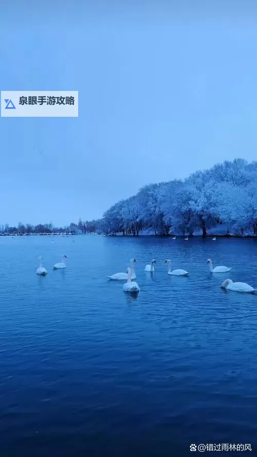 探索经典之作的不同版本：多元编辑（edition）背后的故事图1