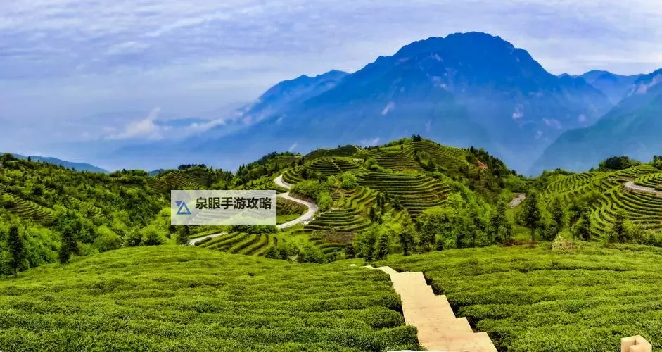 探索极致体验：十大大型高画质手机动作单机游戏推荐图1