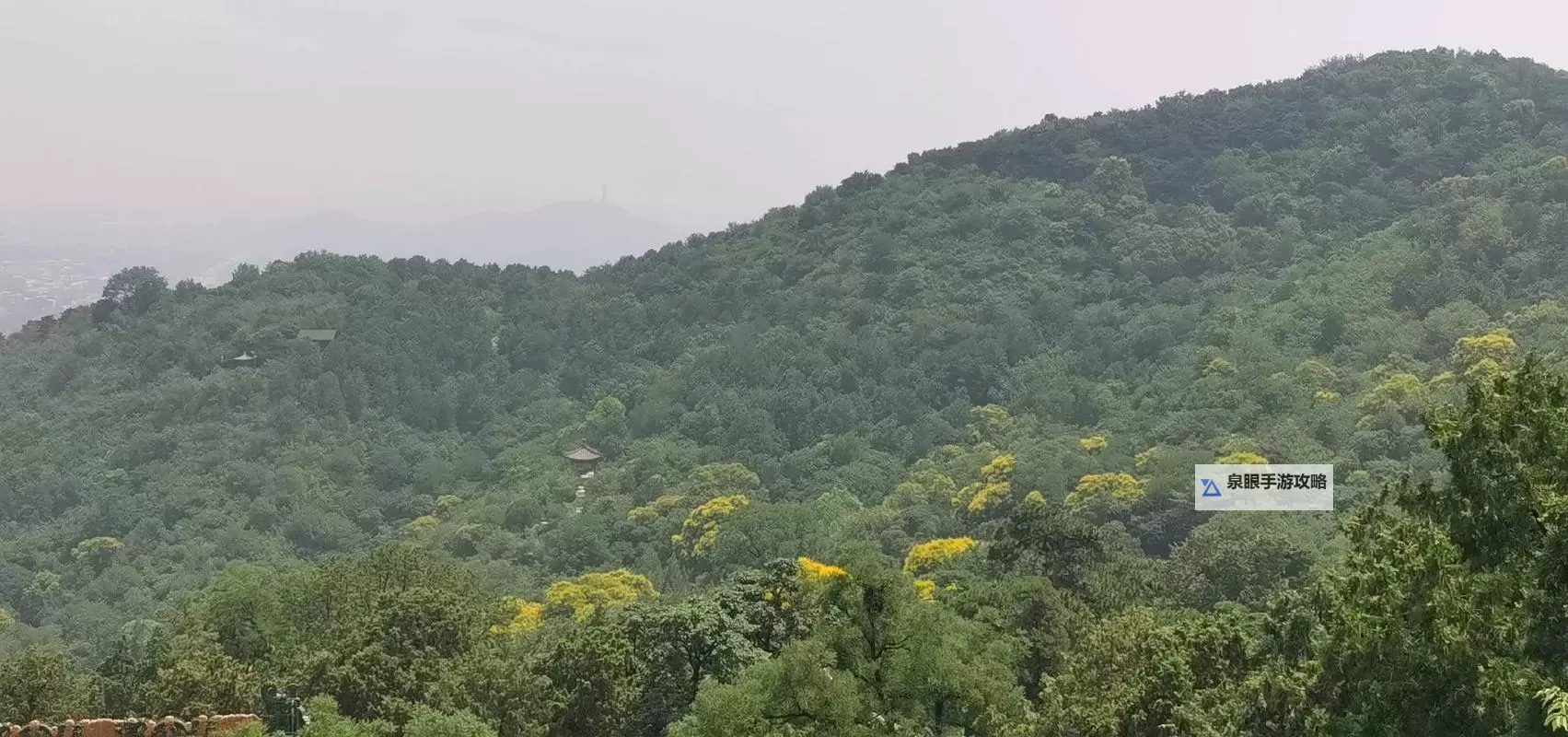 探索极致体验：十大大型高画质手机动作单机游戏推荐图2