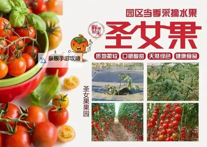 影视草莓电视剧:甜蜜青春的浪漫盛宴图1