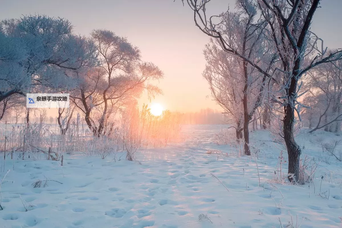 了解2K24教学模式在哪，助力课堂创新与提升图1