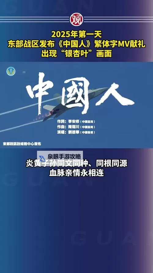 中国人在线观看免费高清完整版：完整版免费高清观看指南图2