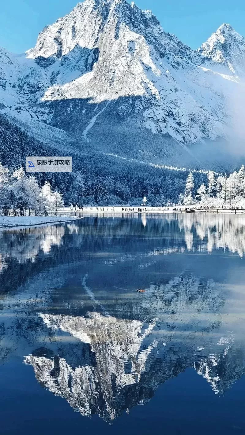 探索福利区一区二区：领略多彩娱乐新体验图2