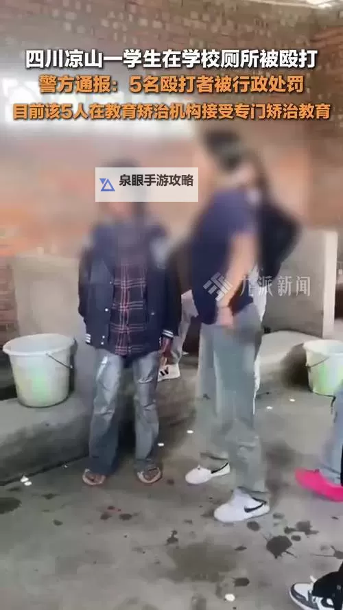 在公厕被殴打女子回应：事发经过与心理反思图2