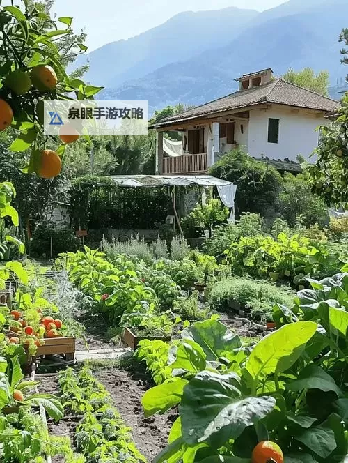 探索便捷生活新体验:中国生活网助您掌握每一天图1