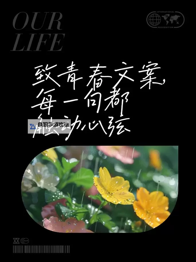 青春永恒：致青春 mv的感悟与回忆图1