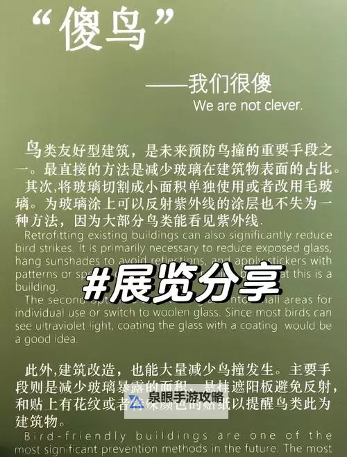 走一下就往里撞一下：意外的冲突与反思图1