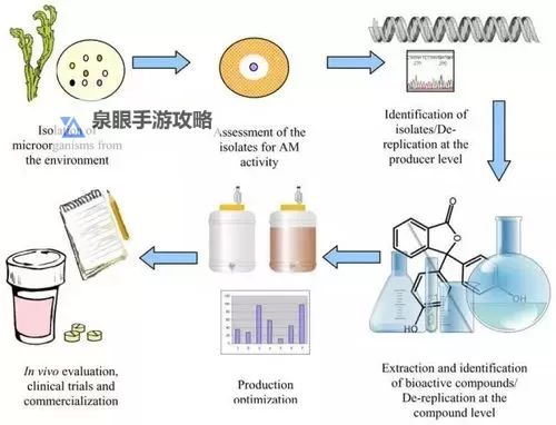 探索优化策略：打造精品久久久久久综合的高质量生活体验图1