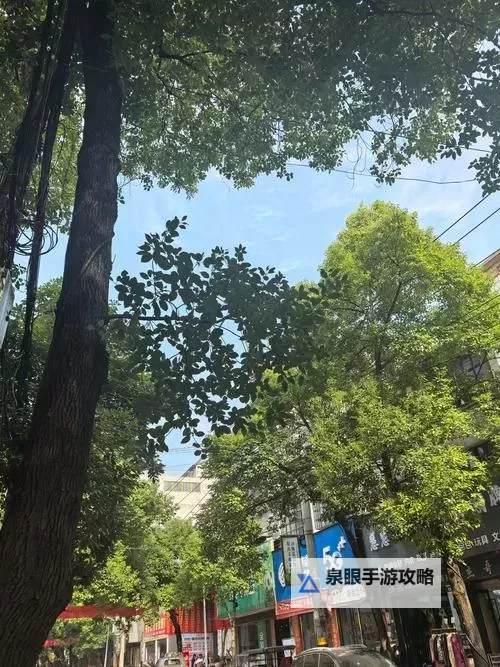 探索未知魅力：探花久久久的精彩瞬间图1