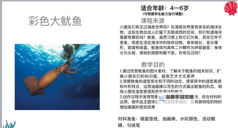 探索精彩内容：鱿鱼网BY66626带你畅游海洋世界图2