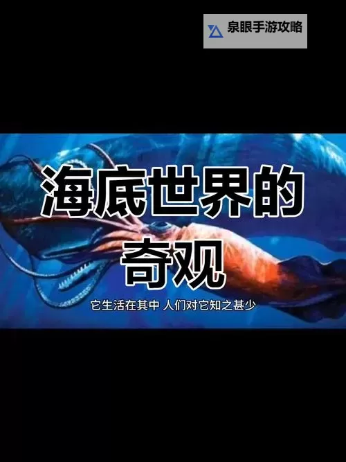 探索精彩内容：鱿鱼网BY66626带你畅游海洋世界图1