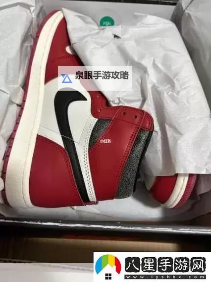 做AJ的姿势视频教程图片高清版：详细步骤解析与高清示范图2